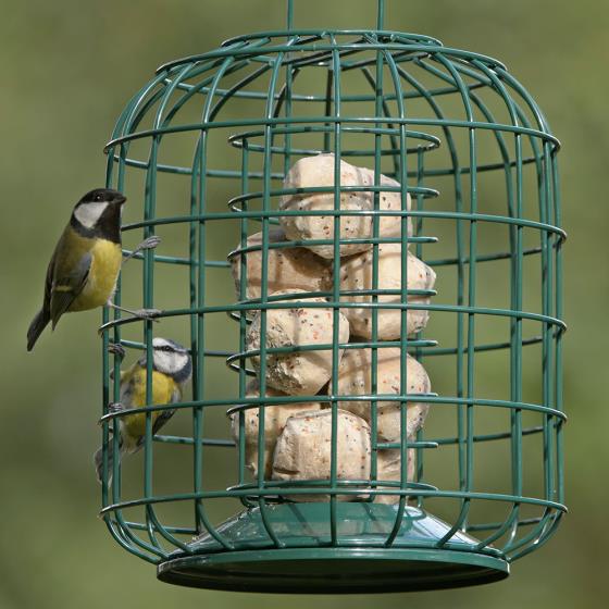 RSPB Suet feeder and guardian product photo default L
