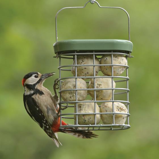 RSPB Ultimate suet feeder product photo default L