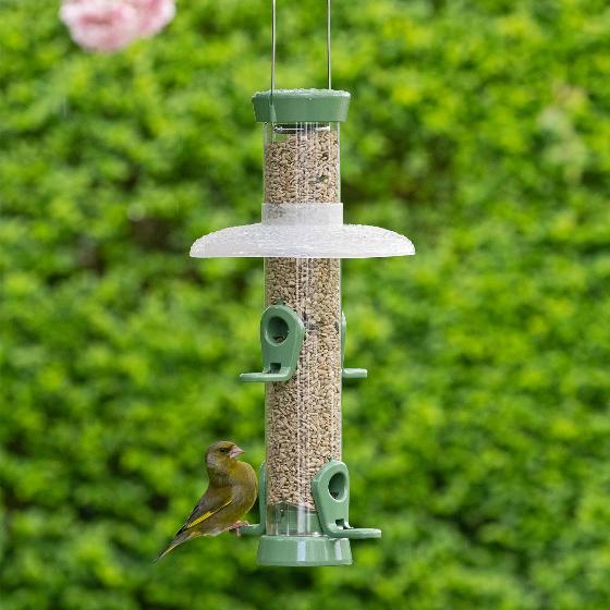 Rain Away - Bird feeder rain guard product photo default L