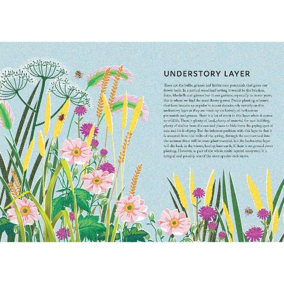 Rewild your garden: create a haven for birds, bees and butterflies product photo back L