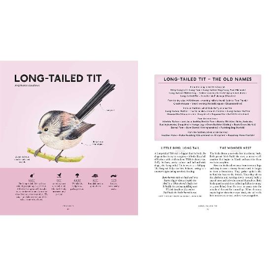 RSPB Bird tales: traditional stories, folklore and activities product photo back L