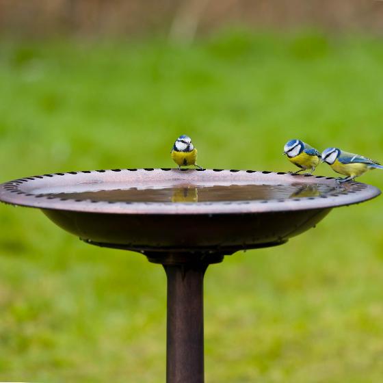RSPB Bronze effect bird bath product photo ai5 L