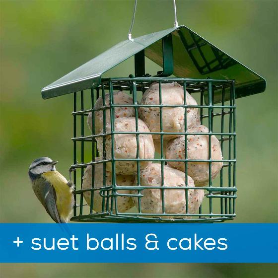 Dual suet feeder with 3 Super suet cakes and 6 Super suet fat balls product photo default L