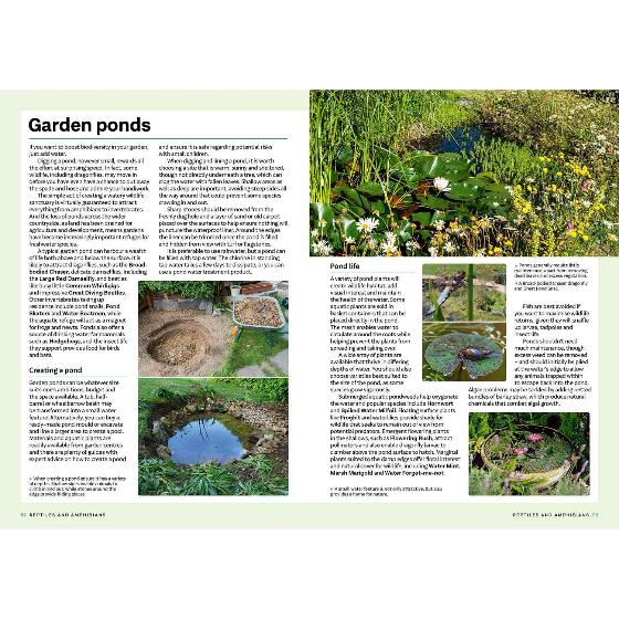 RSPB Everyday guide to British wildlife product photo side L