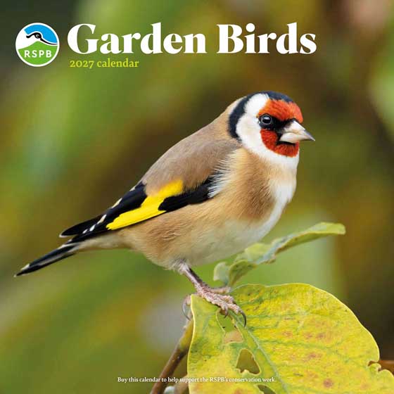 RSPB Garden birds calendar 2027 product photo default L