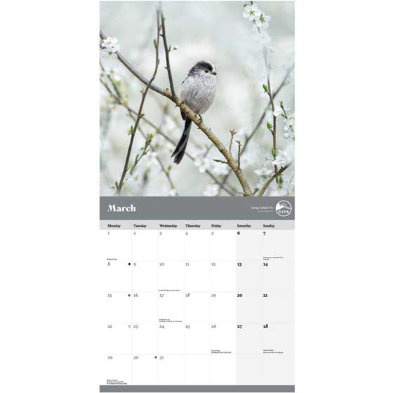 RSPB Garden birds calendar 2027 product photo side L