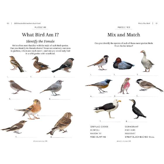 RSPB Garden birdwatcher's puzzle book product photo back L