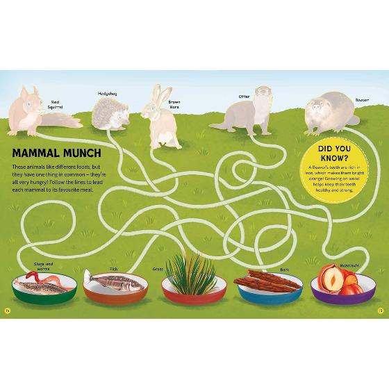 RSPB Nature activity book product photo side L