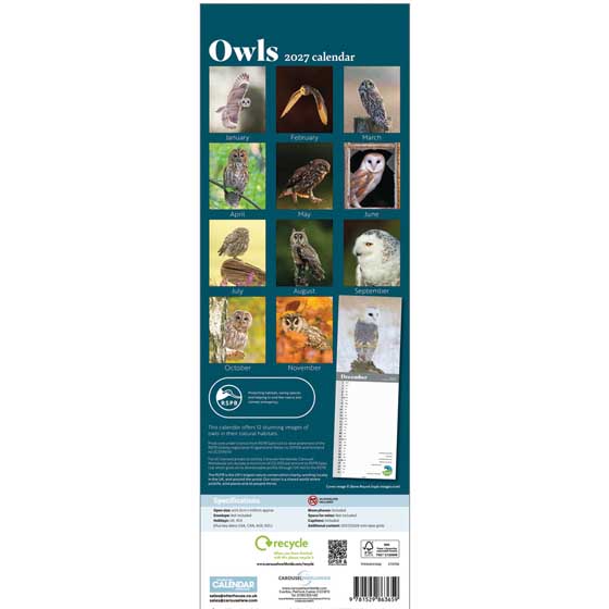 RSPB Owls calendar 2027 product photo back L