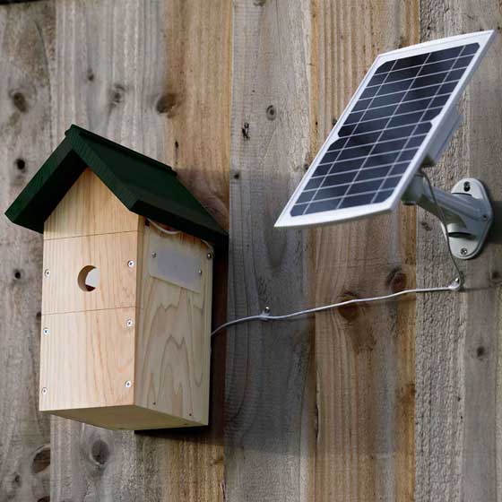 Solar-powered wireless wifi nest camera with nest box product photo default L