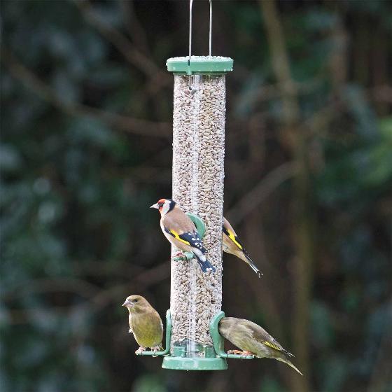 Premium sunflower hearts bird seed sack (12.75kg) product photo side L