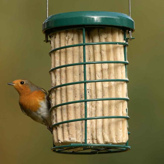 RSPB Super suet logs, sunflower hearts x8 product photo default L