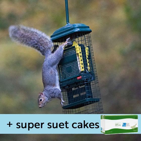 Squirrel Buster suet feeder and Super suet cakes - mealworm product photo default L