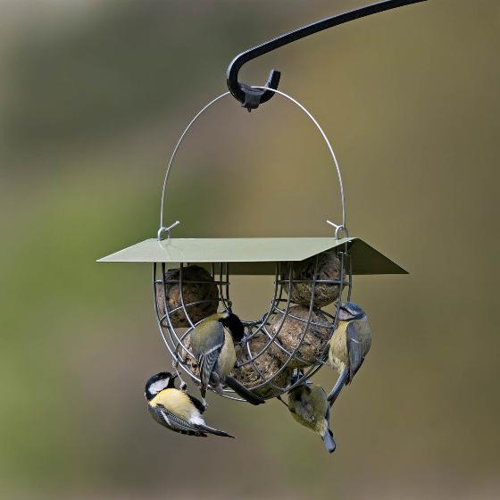 Suet ball basket feeder with roof product photo default L