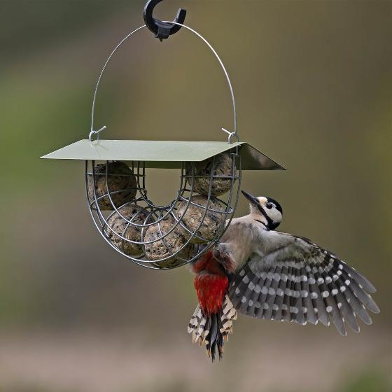 Suet ball basket feeder with roof product photo back L
