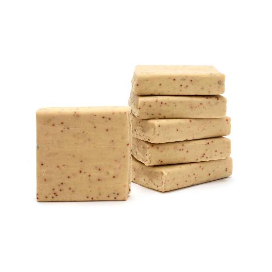 Squirrel Buster suet feeder and Super suet cakes - mealworm product photo front L