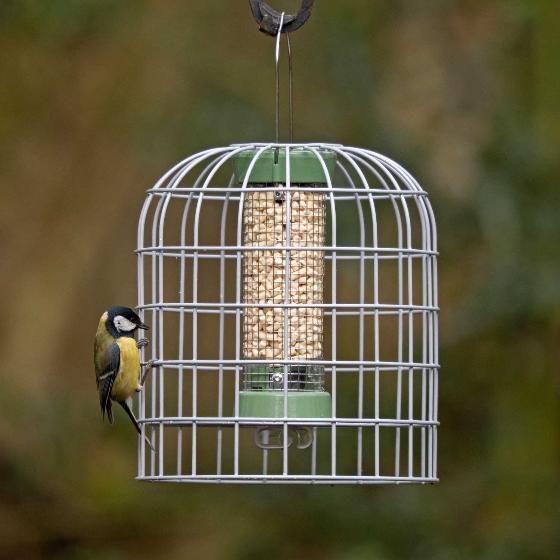 RSPB Ultimate suet pellet & peanut feeder and guardian, small product photo default L