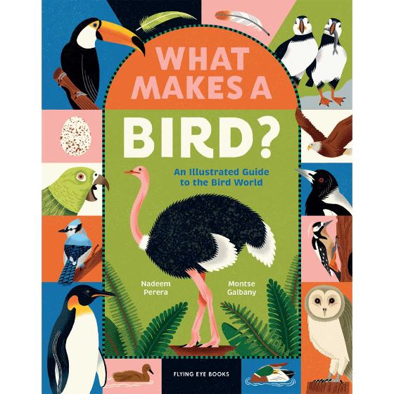 What makes a bird?: An illustrated guide to the bird world product photo default L