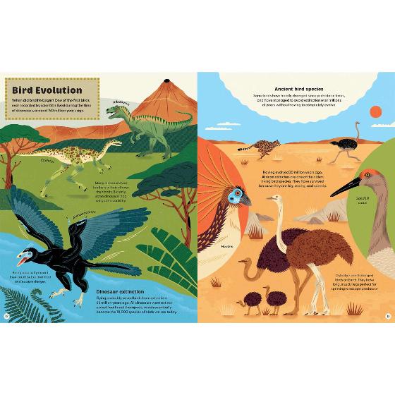 What makes a bird?: An illustrated guide to the bird world product photo back L