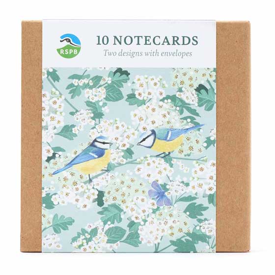 White blossom square notecards, pack of 10 product photo front L