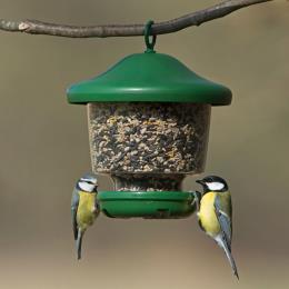 My favourites feeder product photo