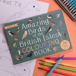 Amazing birds of the British Isles colouring book product photo