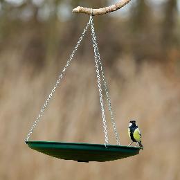 Anywhere bird bath product photo