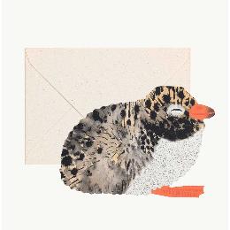 Hadley Paper Goods Arctic Tern chick greeting card product photo