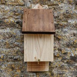 RSPB single chamber bat box product photo