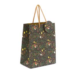 Christmas garden gift bag, medium product photo