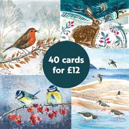 RSPB Fab 40 large box of Christmas cards product photo