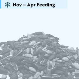Feeder mix extra bird food 5.5kg product photo