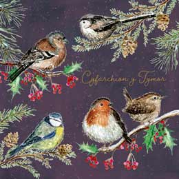 Garden bird Welsh Christmas cards, pack of 10 product photo