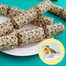RSPB 'Pin the beak' game plastic-free Christmas crackers, box of six product photo