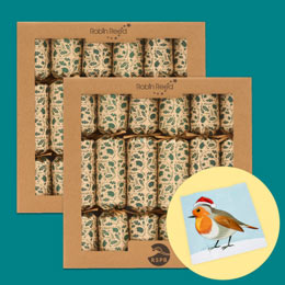 RSPB 'Pin the beak' game Christmas crackers, two boxes of six product photo