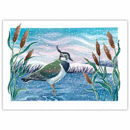 Lakeside Lapwing Christmas cards, pack of 10 product photo