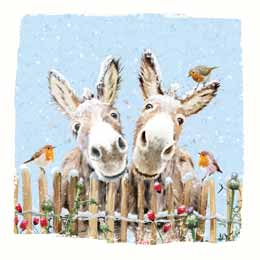 Little Donkeys Christmas cards, pack of 10 product photo