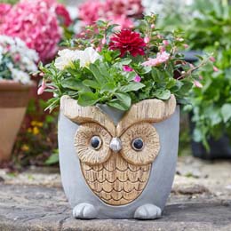Owl planter product photo