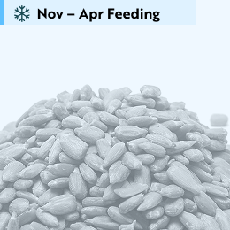 Premium sunflower hearts bird seed 5.5kg product photo