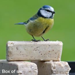 Super suet bars x6 product photo