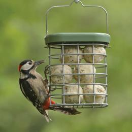 RSPB Ultimate suet feeder product photo