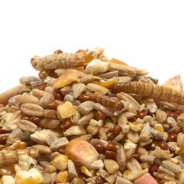 RSPB Robin blend bird food 5.5kg product photo