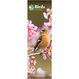 RSPB Birds calendar 2027 product photo