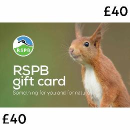 RSPB E-gift card £40 product photo