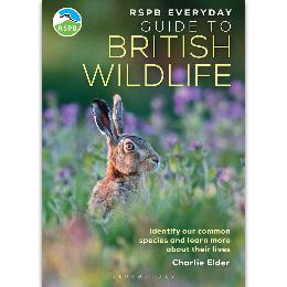 RSPB Everyday guide to British wildlife product photo