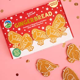 RSPB Gingerbread Robins icing kit product photo