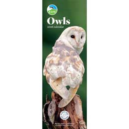 RSPB Owls calendar 2026 product photo