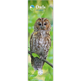 RSPB Owls calendar 2027 product photo