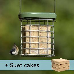 RSPB Ultimate suet feeder + 3 Super suet cakes - mealworm product photo