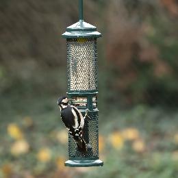 Squirrel Buster, suet pellet and peanut feeder product photo
